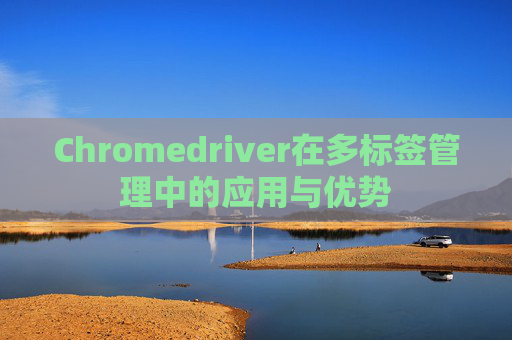 Chromedriver在多标签管理中的应用与优势